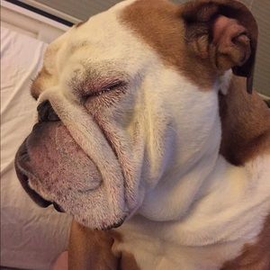 Meet your Posher, Christopher